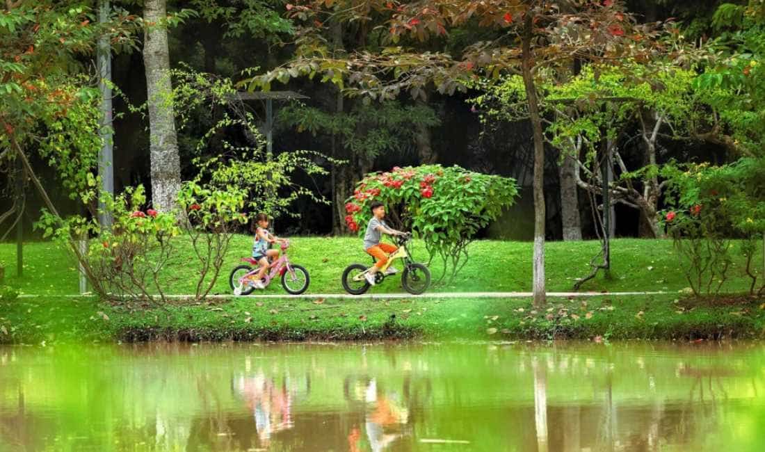 Đạp xe ngắm cảnh tại công viên sinh thái
