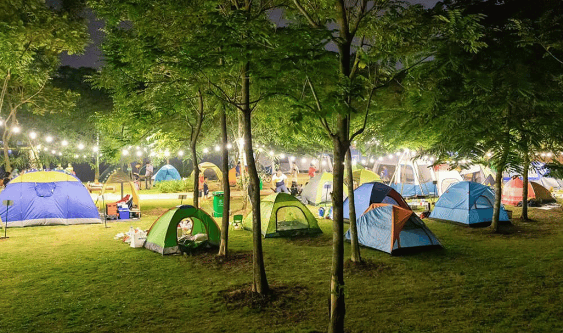 Khu vực cắm trại 