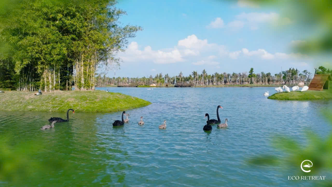 hồ thiên nga eco retreat